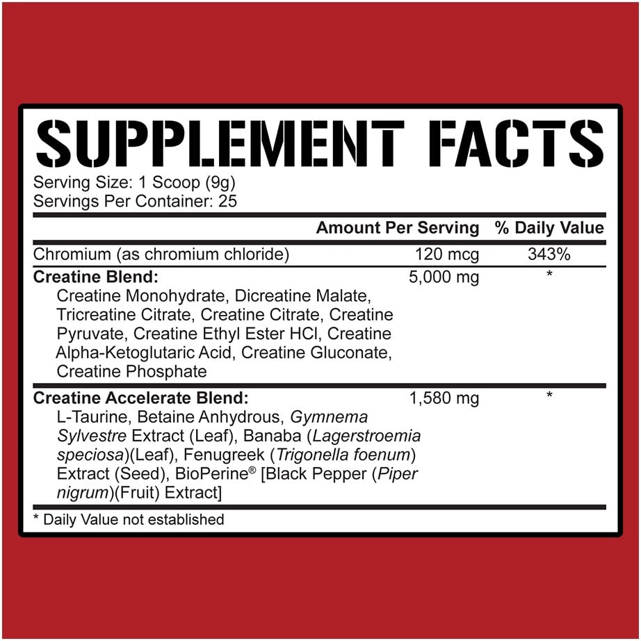 5% Nutrition Crea-TEN - 231 g Fruit Punch