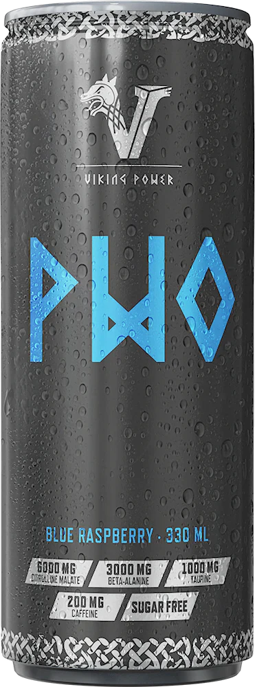 Viking Power PWO Energy Drink - 24 x 330 ml Blue Raspberry